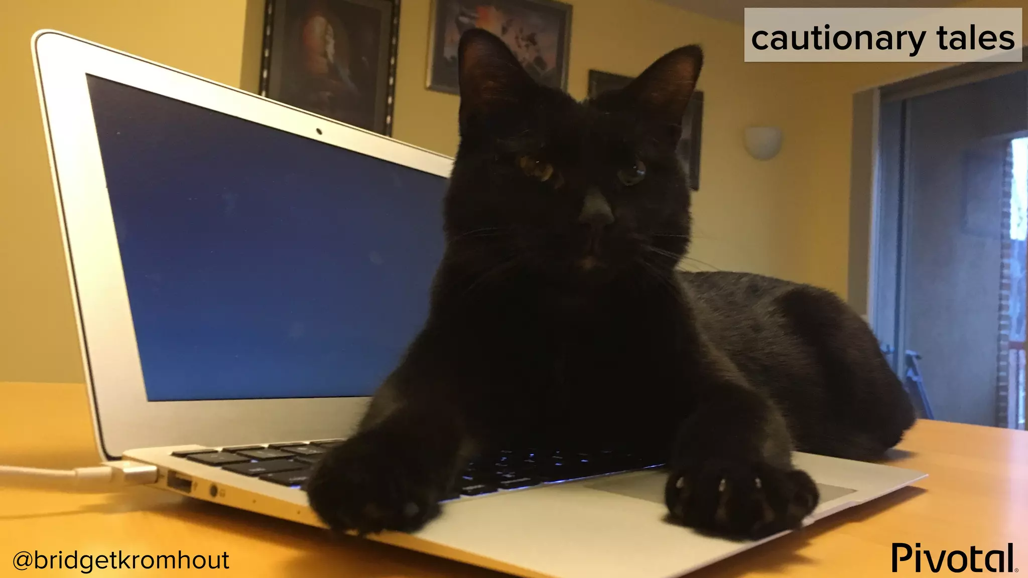 @bridgetkromhout
cautionary tales
 