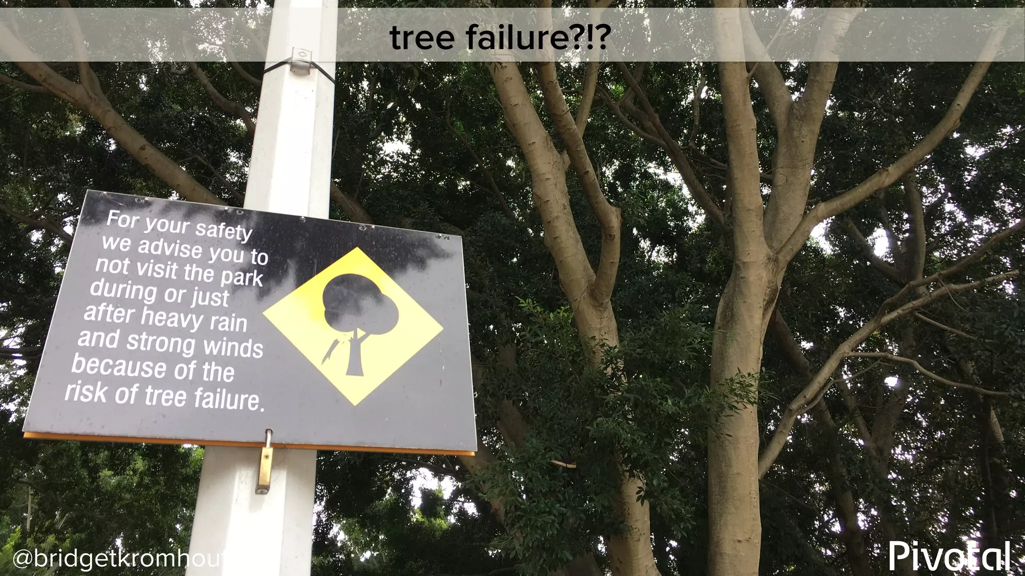 @bridgetkromhout
tree failure?!?
 