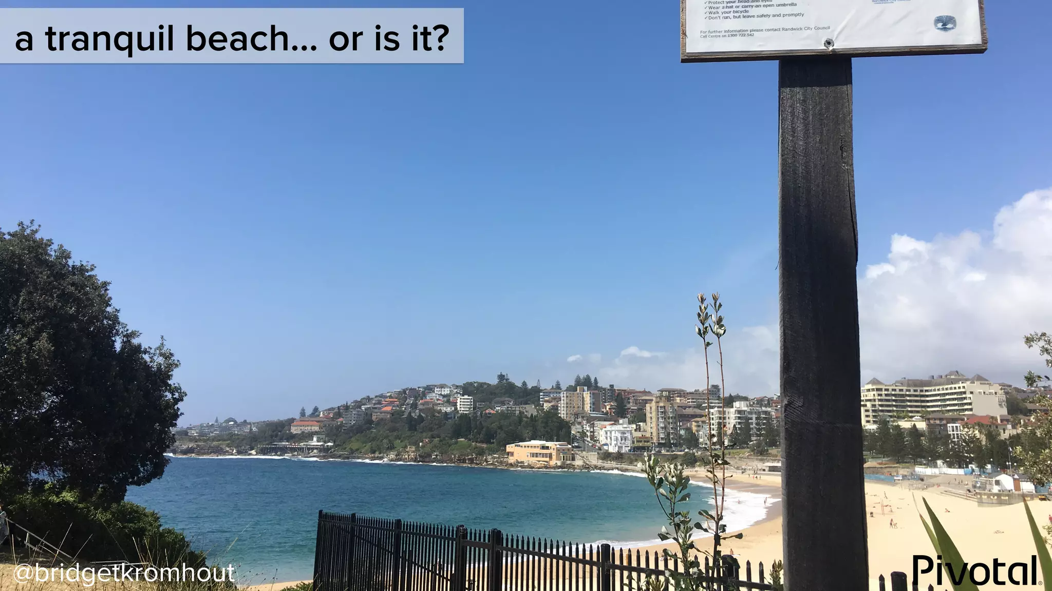 @bridgetkromhout
a tranquil beach… or is it?
 