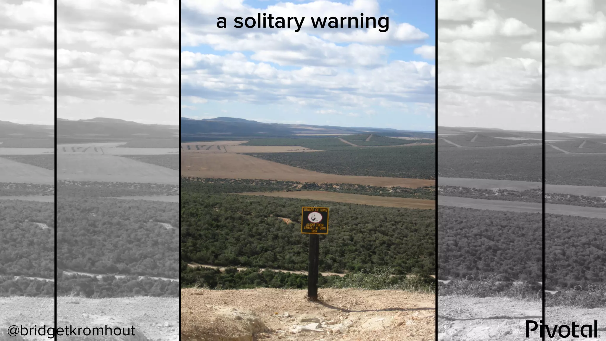 @bridgetkromhout
a solitary warning
 