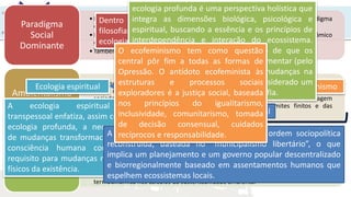 UNIR
•Representa a visão tradicional de mundo da sociedade industrializada e do paradigma
econômico - o status quo.
•Expressa os princípios e objetivos econômicos neoclássicos - crescimento econômico
e lucro.
•Também sua relação com os fatores naturais, tratados como externalidades.
Paradigma
Social
Dominante
•Representa a visão de mundo daqueles que se opõem radicalmente ao paradigma
social dominante. O ambientalismo radical promove uma visão da biosfera e da
sociedade humana baseada nos princípios ecológicos do holismo, da abordagem
integrada, do equilíbrio da natureza, da diversidade, dos limites finitos e das
mudanças dinâmicas.
Ambientalismo
Radical
•Representa aqueles que se colocam em uma faixa intermediária entre a filosofia e a
prática ambiental.
•Uma modificação de valores antropocêntricos, a fim de incluir valores biocêntricos.
•É contrário à perspectiva do paradigma social dominante, e propõe uma abordagem
sistêmica, bem como a adoção de leis de conservação e de entropia da
termodinâmica nos cálculos da sustentabilidade ambiental
Ambientalismo
Renovado
Dentro do ambientalismo radical existem quatro
filosofias proeminentes: a ecologia profunda, a
ecologia espiritual, a ecologia social e o ecofeminismo,
Diferem principalmente em termos de ênfases e meios,
em vez de fins.
Ecofeminismo
Ecologia social
Ecologia espiritual
Ecologia profunda
A ecologia espiritual ou
transpessoal enfatiza, assim como a
ecologia profunda, a necessidade
de mudanças transformacionais na
consciência humana como pré-
requisito para mudanças nos níveis
físicos da existência.
ecologia profunda é uma perspectiva holística que
integra as dimensões biológica, psicológica e
espiritual, buscando a essência e os princípios de
interdependência e interação do ecossistema.
Existe um imperativo moral e ético de que os
homens têm uma obrigação de implementar (pelo
exemplo e pela ação direta) estas mudanças na
sociedade. Fritjof Capra pode ser considerado um
dos principais pensadores desta filosofia.
A ecologia social oferece a visão de uma ordem sociopolítica
reconstruída, baseada no “municipalismo libertário”, o que
implica um planejamento e um governo popular descentralizado
e biorregionalmente baseado em assentamentos humanos que
espelhem ecossistemas locais.
O ecofeminismo tem como questão
central pôr fim a todas as formas de
Opressão. O antídoto ecofeminista às
estruturas e processos sociais
exploradores é a justiça social, baseada
nos princípios do igualitarismo,
inclusividade, comunitarismo, tomada
de decisão consensual, cuidados
recíprocos e responsabilidade.
 