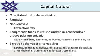 UNIR
Capital Natural
• O capital natural pode ser dividido
• Renovável
• Não-renovável
– Combustíveis fósseis
• Compreende todos os recursos individuais conhecidos e
usados pela humanidade
– Água, os minérios, o petróleo, as árvores, os peixes, o solo, o ar, etc.
• Envolve os chamados sistemas vivos
– Savanas, os mangues, os estuários, os oceanos, os recifes de coral, as
áreas ribeirinhas, as tundras e as florestas tropicais,etc.
 