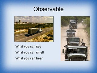Observable What you can see What you can smell What you can hear 