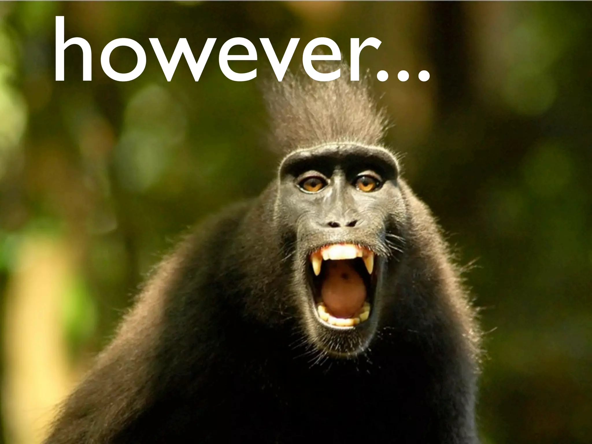 Operational Efficiency Hacks Web20 Expo2009