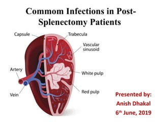 Commom Infections in Post-
Splenectomy Patients
Presented by:
Anish Dhakal
6th
June, 2019
 