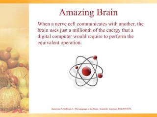Amazing Brain
When a nerve cell communicates with another, the
brain uses just a millionth of the energy that a
digital computer would require to perform the
equivalent operation.




      Sejnowski T, Delbruck T: The Language of the Brain. Scientific American 2012;307(4):54.
 