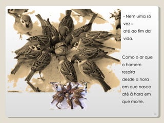 - Nem uma só
vez –
até ao fim da
vida.



Como o ar que
o homem
respira
desde a hora
em que nasce
até à hora em
que morre.

                12
 
