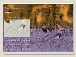 Quando alguém nos

magoa,

o pássaro da alma




agita-se para lá e para cá

em todos os sentidos dentro

do nosso corpo, sofre muito.
                               5
 
