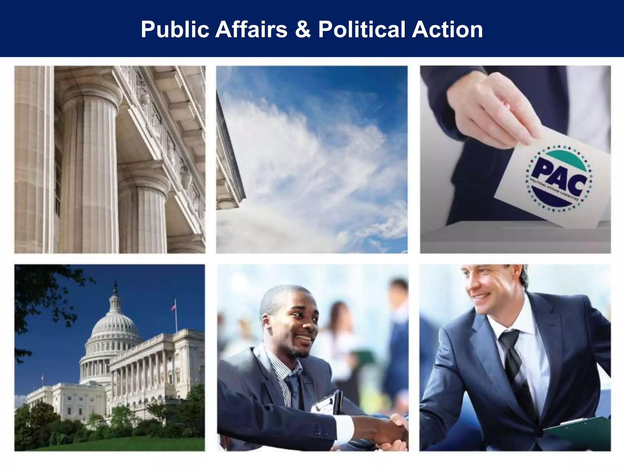 Public Affairs & Political Action
 