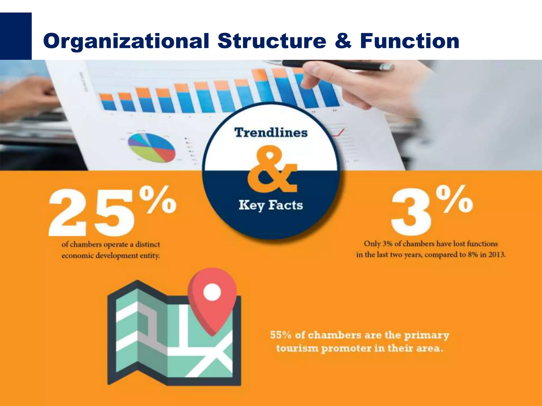 Organizational Structure & Function
 