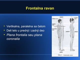 Opsta anatomija uvod | PPT