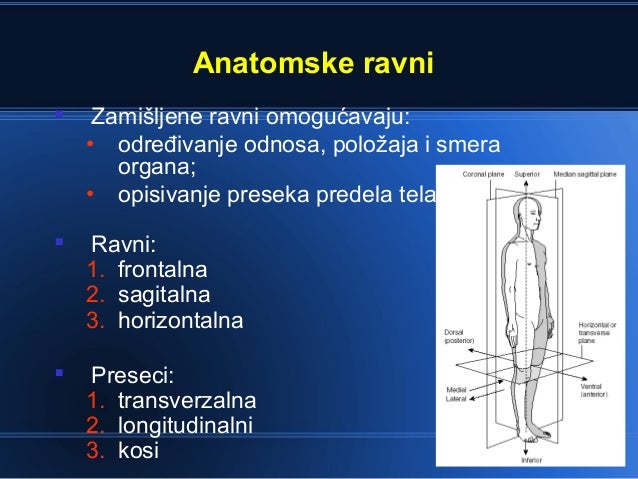 Opsta anatomija uvod