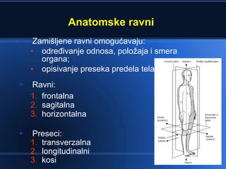 Opsta anatomija uvod | PPT