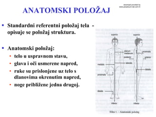 Opsta anatomija uvod | PPT