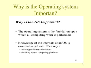 Why is the Operating system İmportan? 