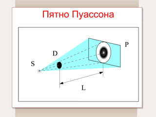 Пятно Пуассона 