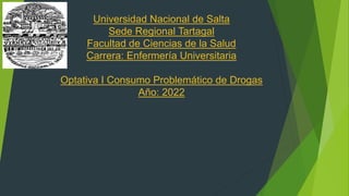 Universidad Nacional de Salta
Sede Regional Tartagal
Facultad de Ciencias de la Salud
Carrera: Enfermería Universitaria
Optativa I Consumo Problemático de Drogas
Año: 2022
 