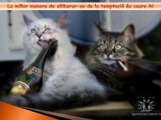 La millor manera de alliberar-se de la temptació és caure-hi