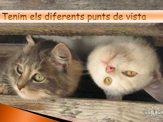 Tenim els diferents punts de vista