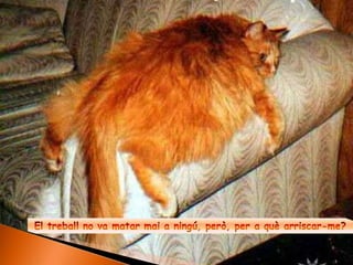 El treball no va matar mai a ningú, però, per a què arriscar-me?