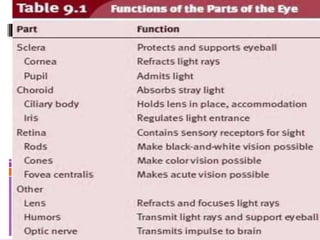Opthalmic and geometric optics