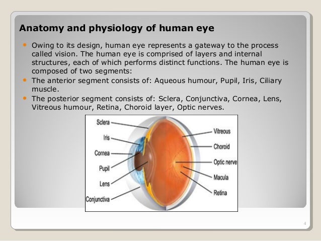 opthalmic drug delivery system opthalmic