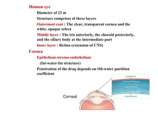 Human eye
Diameter of 23 m
Structure comprises of three layers
Outermost coat : The clear, transparent cornea and the
white, opaque sclera
Middle layer : The iris anteriorly, the choroid posteriorly,
and the ciliary body at the intermediate part
Inner layer : Retina (extension of CNS)
Cornea
Epithelium-stroma-endothelium
(fat-water-fat structure)
Penetration of the drug depends on Oil-water partition
coefficient
Corneal cross section
 
