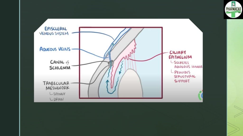 Ophthalmic Preparations Pharmaceutics (Eye Ointment, Suspension, Lo…