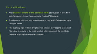 Cortical Blindness
 With bilateral lesions of the occipital lobes (destruction of area 17 of
both hemispheres), may have complete “cortical” blindness.
 The degree of blindness may be equivalent to that which follows severing of
the optic nerves.
 The pupillary light reflexes are preserved because they depend upon visual
fibers that terminate in the midbrain, but reflex closure of the eyelids to
threat or bright light may not be preserved
 