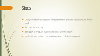 Opthalmology, the red eyes & more on the red eyes | PPT