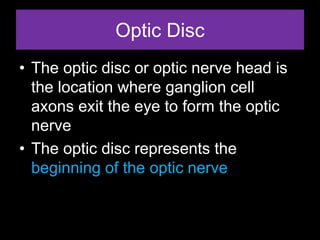 Optic Disc 
• The optic disc or optic nerve head is 
the location where ganglion cell 
axons exit the eye to form the optic 
nerve 
• The optic disc represents the 
beginning of the optic nerve 
 