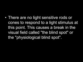 • There are no light sensitive rods or 
cones to respond to a light stimulus at 
this point. This causes a break in the 
visual field called "the blind spot" or 
the "physiological blind spot". 
 