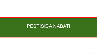 PESTISIDA NABATI
 
