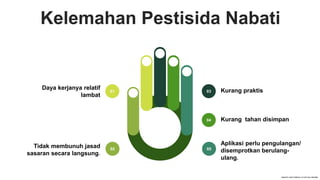 Kelemahan Pestisida Nabati
Kurang praktis
Aplikasi perlu pengulangan/
disemprotkan berulang-
ulang.
Kurang tahan disimpan
03
04
05
Daya kerjanya relatif
lambat
Tidak membunuh jasad
sasaran secara langsung.
01
02
 