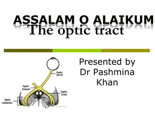 The optic tract
Presented by
Dr Pashmina
Khan
 