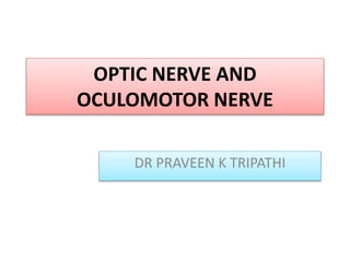 OPTIC NERVE AND
OCULOMOTOR NERVE
DR PRAVEEN K TRIPATHI
 