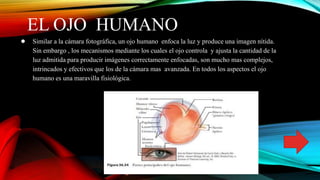 EL OJO HUMANO
● Similar a la cámara fotográfica, un ojo humano enfoca la luz y produce una imagen nítida.
Sin embargo , los mecanismos mediante los cuales el ojo controla y ajusta la cantidad de la
luz admitida para producir imágenes correctamente enfocadas, son mucho mas complejos,
intrincados y efectivos que los de la cámara mas avanzada. En todos los aspectos el ojo
humano es una maravilla fisiológica.
 