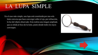 LA LUPA SIMPLE
En el caso más simple, una lupa está constituida por una sola
lente convexa que hace converger sobre el ojo, por refracción,
la luz del objeto observado. Esta realiza una imagen ampliada
que es nítida al foco de la lente, punto donde todos los rayos
convergen.
 