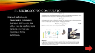 EL MICROSCOPIO COMPUESTO
Se puede definir como
microscopio compuesto
cualquier microscopio que
utilice más de una lente para
permitir observar una
muestra de forma
aumentada.
 