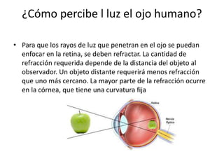 ¿Cómo percibe l luz el ojo humano?
• Para que los rayos de luz que penetran en el ojo se puedan
enfocar en la retina, se deben refractar. La cantidad de
refracción requerida depende de la distancia del objeto al
observador. Un objeto distante requerirá menos refracción
que uno más cercano. La mayor parte de la refracción ocurre
en la córnea, que tiene una curvatura fija
 