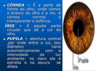  CÓRNEA = É a parte da
frente do olho, onde vemos
o branco do olho e a íris. A
córnea normal é
transparente e esférica.
ÍRIS = É aquela parte
circular que dá a cor do
olho.
 PUPILA = abertura central
,por onde entra a luz, seu
diâmetro varia
automaticamente com a
intensidade da luz
ambiente: no claro ela é
estreita e no escuro se
dilata.
 