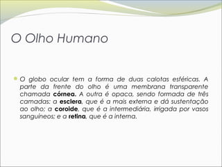 O Olho Humano


 O globo ocular tem a forma de duas calotas esféricas. A
 parte da frente do olho é uma membrana transparente
 chamada córnea. A outra é opaca, sendo formada de três
 camadas: a esclera, que é a mais externa e dá sustentação
 ao olho; a coroide, que é a intermediária, irrigada por vasos
 sanguíneos; e a retina, que é a interna.
 