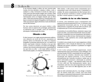 30
8 De olho no olho
O ser humano dispõe e utiliza, em seu convívio pelo
mundo, de cinco sentidos: o paladar, o olfato, o tato, a
audição e a visão. Entretanto é através da visão que a
maior parte das informações chegam até o cérebro. Nele
as informações visuais são processadas, interpretadas e
memorizadas como as imagens daquilo que os olhos
vêem. Todo esse processo pode ser compreendido com
base no estudo da máquina fotográfica e da filmadora de
vídeo que possuem alguns elementos muito semelhantes
aos do olho humano.
Por isso vamos descrever um pouco melhor o olho
humano, tanto no aspecto de sua biologia, apresentando
os elementos que o compõe, como um sistema de
percepção e interpretação das coisas,
Olhando o olho
O olho humano é um orgão aproximadamente esférico,
com diâmetro em torno de 25 mm, equivalente ao
sistema óptico da filmadora de video ou máquina
fotográfica constituído basicamente por: um sistema de
lentes, cuja função é desviar e focalizar a luz que nele
incide - a córnea e o cristalino; um sistema de diafragma
variável, que controla automaticamente a quantidade de
luz que entra no olho - a iris (cujo orifício central é
denominado pupila); um anteparo fotossensível - a retina.
Representação de alguns detalhes do olho humano
Além destes, o olho possui outros componentes que o
caracterizam como uma câmara escura: a esclerótica e a
coróide. Os outros componentes do olho humano tem a
função de fornecer nutrientes e manter a pressão interna
do olho: o humor aquoso e o humor vítreo.
Caminho da luz no olho humano
A córnea, uma membrana curva e transparente com
espessura de aproximadamente 0,5 mm, é o primeiro meio
transparente encontrado pela luz. A luz que atinge
obliquamente a superfície da córnea sofre um desvio, que
é responsável por 2/3 de sua focalização na retina.
A esclerótica é o envoltório fibroso, resistente e opaco mais
externo do olho, comumente denominado "branco do olho".
Na frente, a esclerótica torna-se transparente, permitindo a
entrada de luz no olho (córnea). Internamente em relação a
esclerótica, o olho apresenta uma camada pigmentada
denominada coróide.
A coróide é uma camada rica em vazos sanguíneos e células
pigmentares, e tem a função de absorver a luz, evitando
reflexões que possam prejudicar a qualidade da imagem
projetada na retina.
A iris é uma camada também pigmentada, sendo
suficientemente opaca para funcionar como diafragma. Sua
principal função é limitar a quantidade de luz que atinge a
parte central do cristalino, devendo atuar também na
focalização dos objetos próximos. A iris é formada
principalmente por músculos circulares e radiais que ao
serem estimulados provocam a diminuição ou aumento
de sua abertura - a pupila -, cujo diâmetro pode variar de
1,5 mm a 8,0 mm. Seu funcionamento, porém, não é
instantâneo, pois leva cerca de 5 segundos para se fechar
ao máximo e em torno de 300 segundos para se abrir
totalmente.
Após ter sido controlada pela iris, a luz atinge o cristalino
que, do mesmo modo que a córnea, atua como lente
convergente, produzindo praticamente o terço restante do
desvio responsável pela focalização na retina.
 