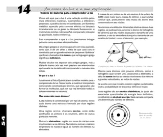 54
14 As cores da luz e a sua explicação
A massa de um próton ou de um neutron é da ordem de
2000 vezes maior que a massa do elétron, o que nos faz
concluir que, praticamente toda massa do átomo está
concentrada em seu núcleo.
Para termos uma idéia das dimensões relativas dessas duas
regiões, se pudessemos aumentar o átomo de hidrogênio
de tal forma que seu núcleo alcançasse o tamanho de uma
azeitona, o raio da eletrosfera alcançaria o tamanho de um
estádio de futebol, como o Morumbi, por exemplo.
Comparação entre as massas do próton (ou neutron) e do elétron
Mesmo para átomos com poucos elétrons, como o
hidrogênio (que só tem um), associamos à eletrosfera a
idéia de nuvem devido ao intenso movimento dos elétrons
a grandes velocidades, ao redor do núcleo.
De acordo com esse modelo, existem regiões na eletrosfera
onde a probabilidade de encontrar elétrons é maior.
Essas regiões são as camadas eletrônicas, às quais são
associadas quantidades de energia bem definidas,
constituindo os níveis de energia. Cada camada comporta
um determinado número de elétrons.
Modelo de matéria para compreender a luz
Vimos até aqui que a luz é uma radiação emitida pelos
mais diferentes materiais, submetidos a diferentes
processos: a parafina da vela em combustão, um filamento
metálico aquecido pela corrente elétrica na lâmpada
incandescente ou os gases na lâmpada fluorescente, o
material das estrelas e do nosso Sol, compactado pela ação
da gravidade, todos emitem luz.
Para compreender o que é a luz precisamos indagar
primeiro como as coisas são constituídas.
Os antigos gregos já se preocupavam com essa questão,
tanto que, é de um deles a idéia de que cada coisa é
constituida por um grande número de pequenos "tijolinhos"
que foram chamados de á-tomos, que na linguagem grega
significava indivisível.
Muitos séculos nos separam dos antigos gregos, mas a
idéia de átomo cada vez mais precisou ser relembrada e
aprimorada na tentativa de compreender a natureza das
coisas.
O que é a luz ?
Atualmente a Física Quântica tem o melhor modelo para a
compreensão da luz. Nessa teoria, a matéria é interpretada
como sendo constituida por átomos, que agrupados vão
formar as moléculas, que por sua vez formarão todas as
coisas existentes na natureza.
Mas como são esses átomos?
Cada material é constituido por um tipo de átomo, tendo
cada átomo uma estrutura formada por duas regiões
distintas.
Uma região central, chamada núcleo, onde estão
confinados os prótons e os neutrons, além de outras
partículas menores.
Outra é a eletrosfera, região em torno do núcleo onde
movimentam-se os elétrons. Num átomo normal, o número
de prótons no núcleo é igual ao número de elétrons na
eletrosfera.
Representação
(fora de escala)
de um átomo.
 