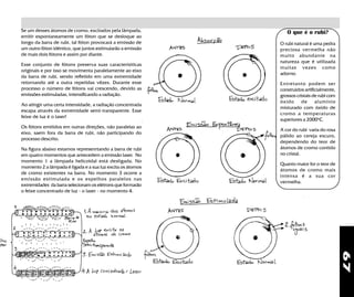 67
O que é o rubi?
O rubi natural é uma pedra
preciosa vermelha não
muito abundante na
natureza que é utilizada
muitas vezes como
adorno.
Entretanto podem ser
construidos artificialmente,
grossos cristais de rubi com
óxido de alumínio
misturado com óxido de
cromo a temperaturas
superiores a 2000ºC.
A cor do rubi varia do rosa
pálido ao cereja escuro,
dependendo do teor de
átomos de cromo contido
no cristal.
Quanto maior for o teor de
átomos de cromo mais
intensa é a sua cor
vermelha.
Se um desses átomos de cromo, excitados pela lâmpada,
emitir espontaneamente um fóton que se desloque ao
longo da barra de rubi, tal fóton provocará a emissão de
um outro fóton idêntico, que juntos estimularão a emissão
de mais dois fótons e assim por diante.
Esse conjunto de fótons preserva suas caracterísiticas
originais e por isso se movimenta paralelamente ao eixo
da barra de rubi, sendo refletido em uma extremidade
retornando até a outra repetidas vêzes. Durante esse
processo o número de fótons vai crescendo, devido as
emissões estimuladas, intensificando a radiação.
Ao atingir uma certa intensidade, a radiação concentrada
escapa através da extremidade semi-transparente. Esse
feixe de luz é o laser!
Os fótons emitidos em outras direções, não paralelas ao
eixo, saem fora da barra de rubi, não participando do
processo descrito.
Na figura abaixo estamos represenrtando a barra de rubi
em quatro momentos que antecedem a emissão laser. No
momento 1 a lâmpada helicoidal está desligada. No
momento 2 a lâmpada é ligada e a sua luz excita os átomos
de cromo existentes na barra. No momento 3 ocorre a
emissão estimulada e os espelhos paralelos nas
extremidades da barra selecionam os elétrons que formarão
o feixe concentrado de luz - o laser - no momento 4.
 