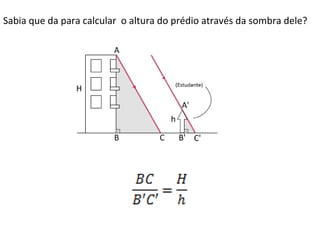 Sabia que da para calcular o altura do prédio através da sombra dele?

 