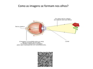 Como as imagens se formam nos olhos?

 