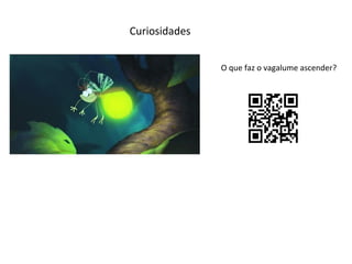 Curiosidades
O que faz o vagalume ascender?

 