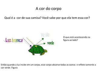 A cor do corpo
Qual é a cor de sua camisa? Você sabe por que ela tem essa cor?

O que está acontecendo na
figura ao lado?

Então quando a luz incide em um corpo, esse corpo absorve todas as outras e reflete somente a
cor verde. Figura

 