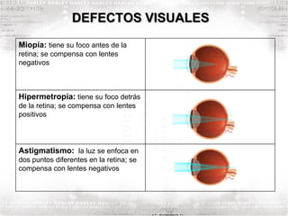 DEFECTOS VISUALES
Miopía: tiene su foco antes de la
retina; se compensa con lentes
negativos
Hipermetropía: tiene su foco detrás
de la retina; se compensa con lentes
positivos
Astigmatismo: la luz se enfoca en
dos puntos diferentes en la retina; se
compensa con lentes negativos
 